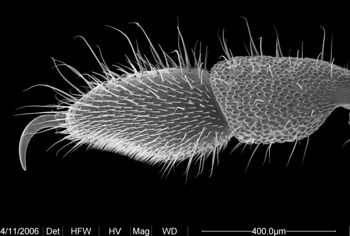Media type: image;   Invertebrate Zoology 134690